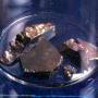 025 Manganese