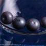 034 Selenium