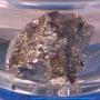 060 Neodymium