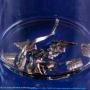 072 Hafnium