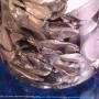 081 Thallium