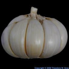 Sulfur Garlic