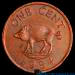 Copper Copper Bermuda pig coin