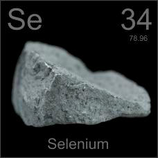 Selenium Poster sample