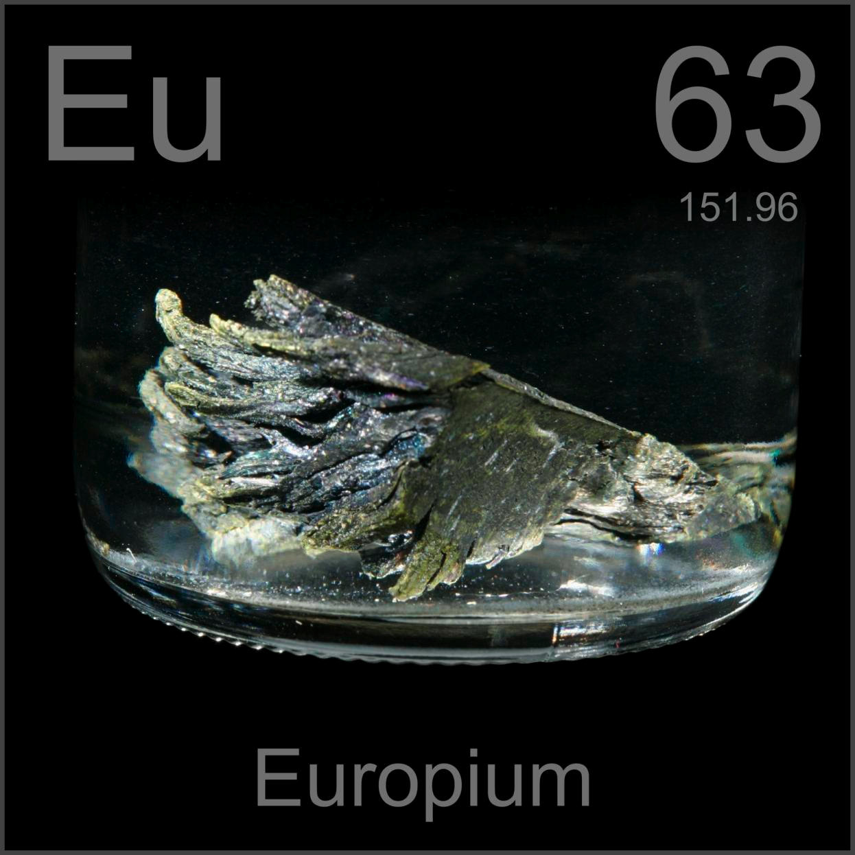 Europium Dendritic sample under oil