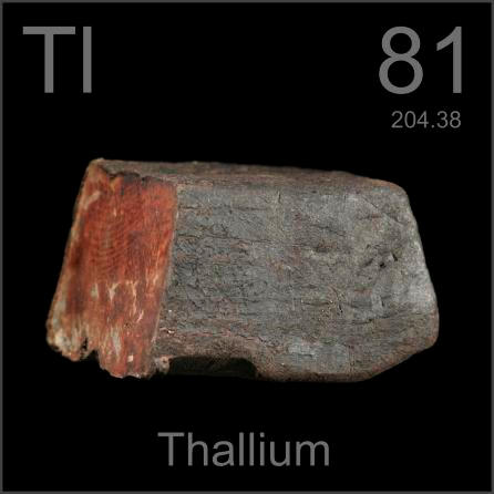 Thallium Large ingot