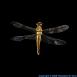 Hydrogen Dragonfly