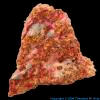 Oxygen Erythrite