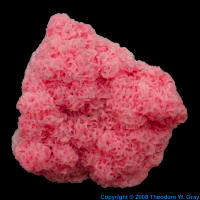 Carbon Rhodochrosite