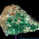 Phosphorus Torbernite