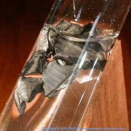 Chunks floating in oil