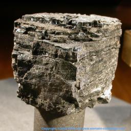 Coal