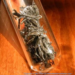 Dendritic crystals ampouled under argon