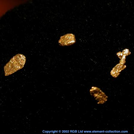 Gold Placer grains