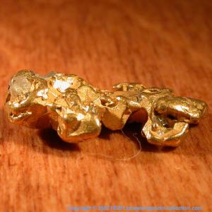 Native gold nugget