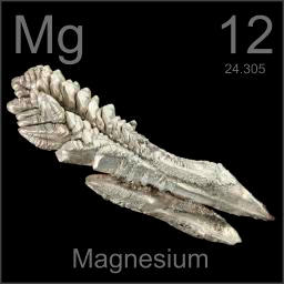 Magnesium