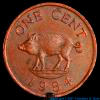 Copper Copper Bermuda pig coin