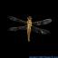 Hydrogen Dragonfly