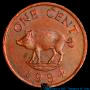 Copper Copper Bermuda pig coin