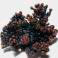 Copper Electrochemically grown crystal