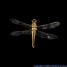 Hydrogen Dragonfly