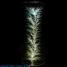 Electrons Lichtenberg figure