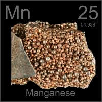 Manganese