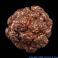 Copper Arizona Raspberry Copper Nodules/Nuggets