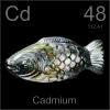 Cadmium Fish