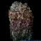 Bismuth Strange crystal