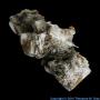 Calcium Aragonite